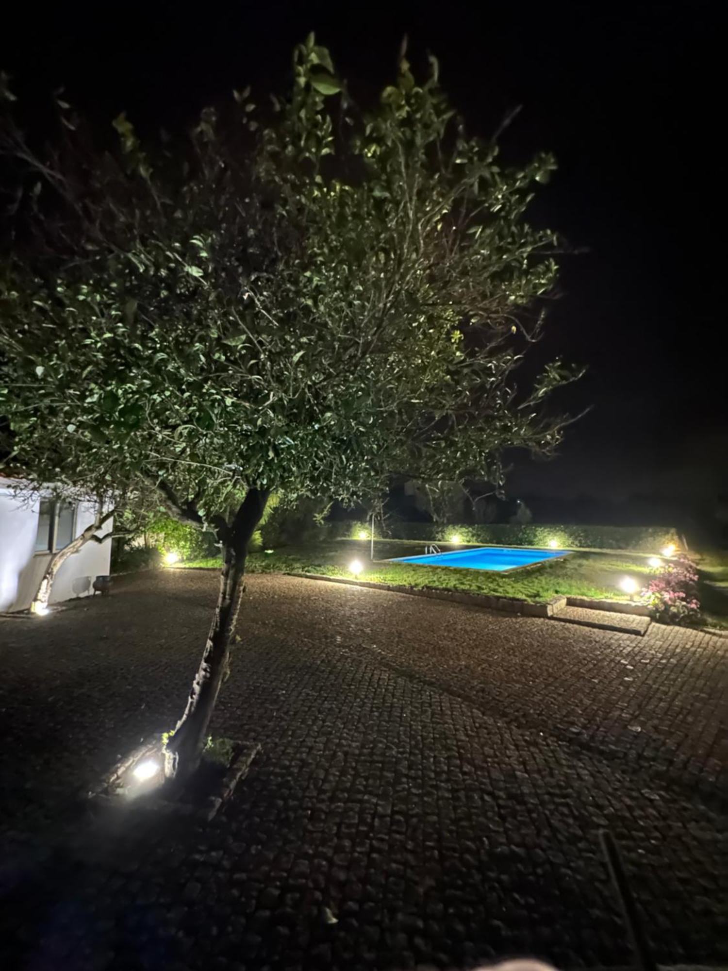 Casa Da Clarinha Villa Penalva do Castelo Eksteriør bilde